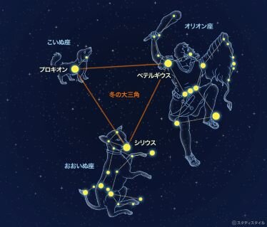 冬の大三角01.jpg