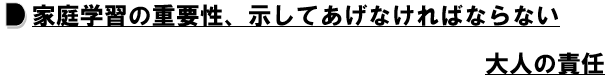 キャプチャ2.PNG