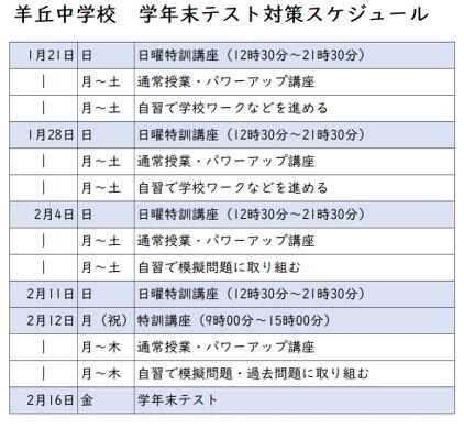 羊丘テスト対策スケジュール.JPG